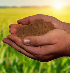 ABONO ORGÁNICO FERTISOL 